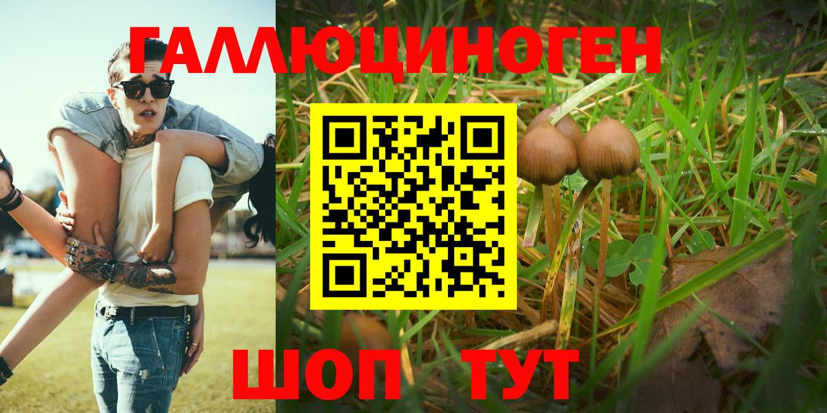 Зерноград  Галлюциногенные грибы Cubensis  Галлюциногенные грибы MAGIC MUSHROOMS  Вход с VPN 